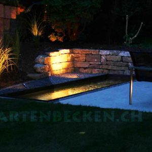 Gartenbecken Bei Nacht 015
